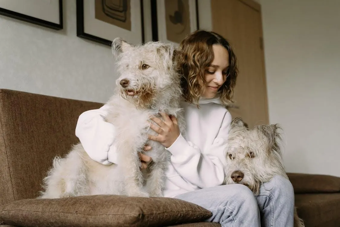 Finding the Right Fit: How to Choose a Trusted Animal-Assisted Therapy Provider