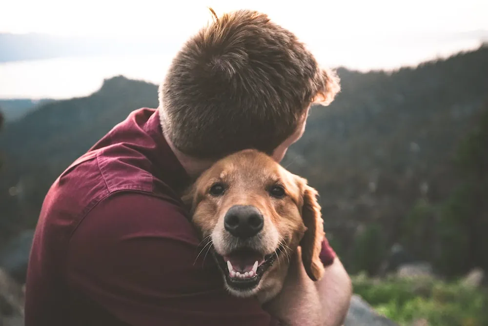 The Healing Power of Pets: How Animals Support Emotional Wellness